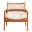 Tula Wood Rattan Lounge Chair in Brown