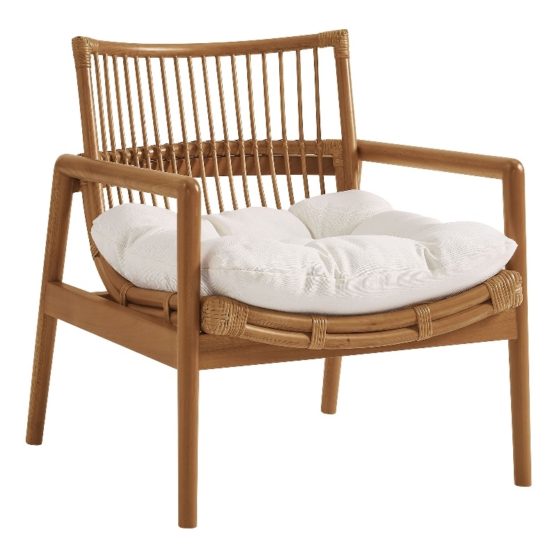 Tula Wood Rattan Lounge Chair in Brown