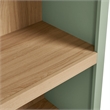 Caleb 4 Arched Display Shelf Bookcase in Sage