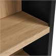 Caleb 4 Arched Display Shelf Bookcase in Black
