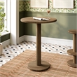 Neo 31 Inch Round Indoor - Outdoor Patio Wood Bar Table in Cocoa Brown