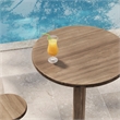 Neo 31 Inch Round Indoor - Outdoor Patio Wood Bar Table in Cocoa Brown