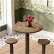 Neo 3-Piece Round Indoor - Outdoor Patio Wood Bar Table And Stool Set