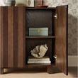 Kline 2-Door Striped Accent Cabinet in Dark Walnut Stripe