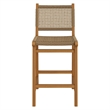 Rowe Outdoor Teak Wood Counter Chairs Set of 2 in Natural