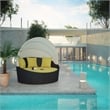 Modway Siesta Rattan Weave/Aluminum Canopy Patio Daybed in Espresso/Peridot