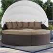 Modway Quest Aluminum and Rattan Canopy Patio Daybed in Espresso/Mocha Brown
