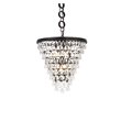Elegant Lighting Nordic 5-Lights Contemporary Iron and Glass Pendant in Black