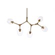 Elegant Lighting Cavoli 5 Lights Iron and Glass Chandelier in Brass