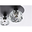 Elegant Lighting Graham 3-Light Crystal/Iron Ceiling Lamp in Black