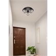 Elegant Lighting Graham 3-Light Crystal/Iron Ceiling Lamp in Black