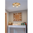 Elegant Lighting Graham 4-Light Crystal/Iron Ceiling Lamp in Gold