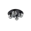 Elegant Lighting Graham 4-Light Crystal/Iron Ceiling Lamp in Black