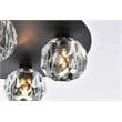Elegant Lighting Graham 4-Light Crystal/Iron Ceiling Lamp in Black