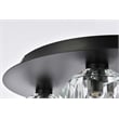 Elegant Lighting Graham 4-Light Crystal/Iron Ceiling Lamp in Black