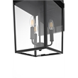 Elegant Lighting Riggs 11