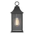 Elegant Lighting Shepard 6
