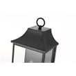 Elegant Lighting Shepard 10