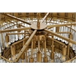 Elegant Lighting Willow 40