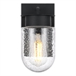 Elegant Lighting Rafael 5