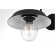 Elegant Lighting Rayan 10