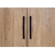 Modern Wood  Laminate Bookcase With Doors Fully Assembled Light Brown
