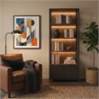 Modern Open Bookcase with Lowers Doors and Lights Bookcase Fully Assembled Black