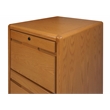 Two Drawer Wood File Cabinet Storage Drawer With Locking Top Drawer light oak