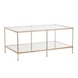 SEI Furniture Knox Glass Top Coffee Table in Gold