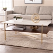 Southern Enterprises Ardmillan Wood and Iron Rectangular Cocktail Table in Brass