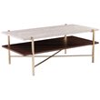 Southern Enterprises Ardmillan Wood and Iron Rectangular Cocktail Table in Brass