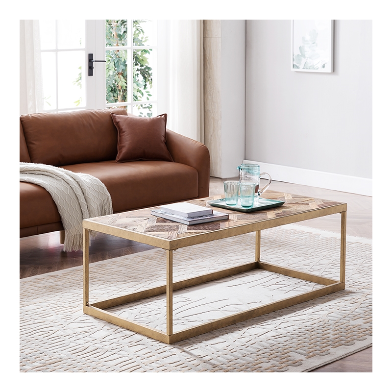 SEI Furniture Dorville Patchwork Wood Top Coffee Table in Brass