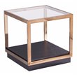 SEI Furniture Lexina Tempered Glass-Top End Table in Champagne-Black