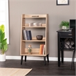 Southern Enterprises Berritza Wood Midcentury Modern Bookshelf in Natural