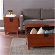 Southern Enterprises Pyramid Wood and Metal Cocktail Table Trunk in Brown