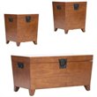 SEI Furniture Dorset 3 Piece Wood Trunk Table Collection in Oak