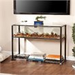 SEI Furniture Terrarium Display Console in Black and Silver