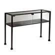 SEI Furniture Terrarium Display Console in Black and Silver