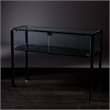 SEI Furniture Terrarium Display Console in Black and Silver