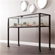 SEI Furniture Terrarium Display Console in Black and Silver