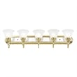 Livex Lighting Belmont 5 Bath Light in Polished Brass and Chrome