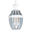 Livex Lighting Monterey 2 Light Outdoor Chain Hang in White