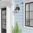 Livex Lighting Monterey 1-Light 60W Brass Outdoor Wall Lantern in Black