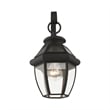 Livex Lighting Monterey 1-Light 60W Brass Outdoor Wall Lantern in Black
