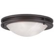 Livex Lighting Ariel Ceiling Mount in Bronze