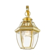 Livex Lighting Monterey 1-Light 100W Brass Outdoor Wall Lantern in Brass