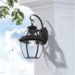 Livex Lighting Monterey 1-Light 100W Brass Outdoor Wall Lantern in Black