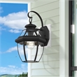 Livex Lighting Monterey 1-Light 100W Brass Outdoor Wall Lantern in Black