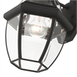 Livex Lighting Monterey 1-Light 100W Brass Outdoor Wall Lantern in Black