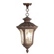 Livex Lighting Oxford Outdoor Chain Hang in Imperial Bronze